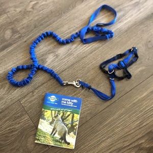 Stretchy cat leash and harness